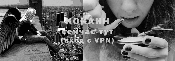 меф Вяземский