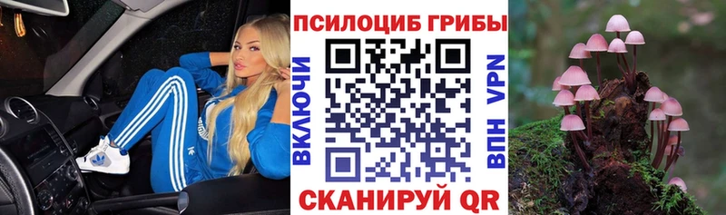 Галлюциногенные грибы Psilocybine cubensis  Одинцово 